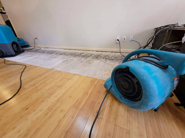 Professional Structural Drying technician working in North Bend, OH